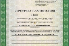 Сафронова-сертификат-1.1-почерк